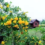 Nai Khun Khao Resort